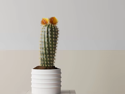 Decorative Columnar Cactus Potted Plant With Yellow Blossoms In White Ribbed Planter 3d model