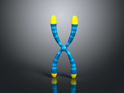 Blue And Yellow Striped X Shaped Practical Household Item For Daily Use 3d model
