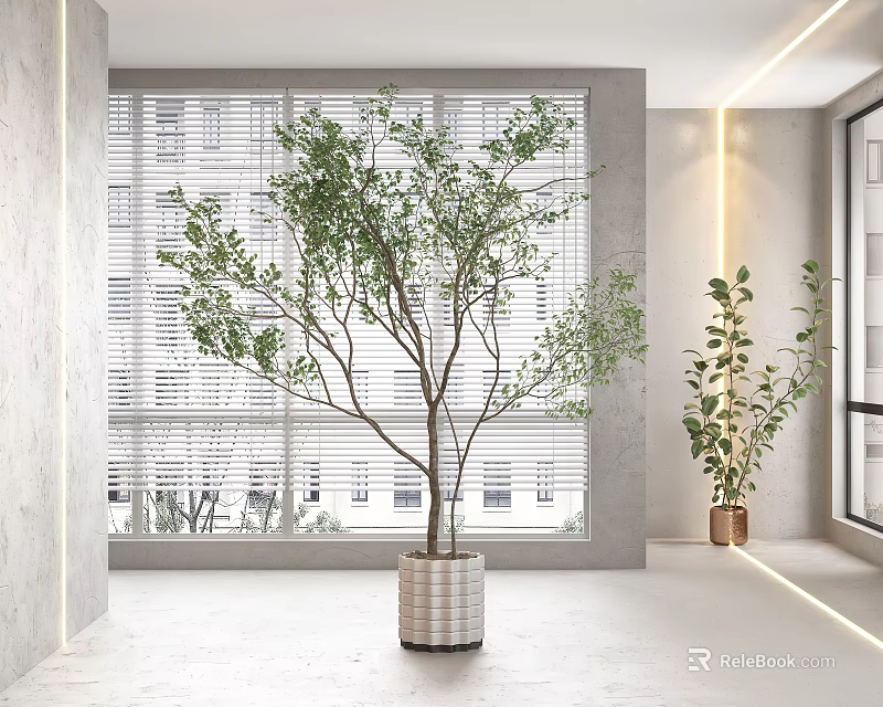 Indoor Bonsai Plant In Stylish Pot By Window With Blinds And Modern Interior Decor 3d model 