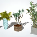 Bonsai Potted Plants With Various Green Plants And Ceramic Clay Concrete Planters For Indoor Decor