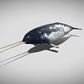 Realistic 3D Model of Narwhal With Long Tusk and Black White Skin