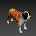 Realistic Saint Bernard Dog 3D Model With Brown And White Fur Standing Pose