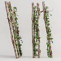 Natural Tree Trunks Covered With Green Vines In Organic Shape