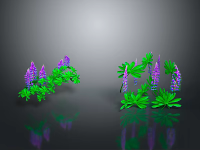 Purple Flowers With Green Leaves On Two Plant Clusters In Gray Background With Reflections 3d model