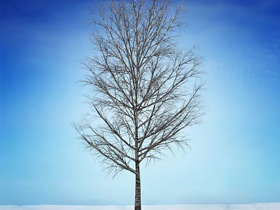 Tall Bare Arbor With Leafless Branches Against Clear Blue Sky Over Snowy Ground 3d model