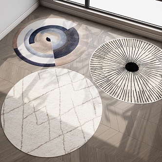 Round carpet Modern carpet 3d model