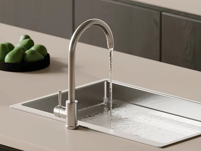 Stainless Steel Kitchen Sink With Silver Faucet Green Fruits On Counter 3d model