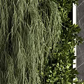 Lush Vertical Greenery Wall with Dark Marble Surroundings for Interior Decor
