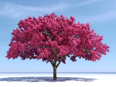 Scenic Flowering Arbor With Pink Blossoms And Lush Canopy Against Blue Sky 3d model