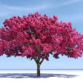 The Modern Tree 3d model