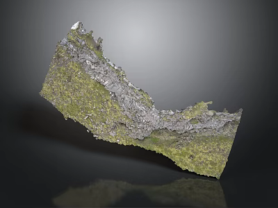 Natural Wood Stone With Green Moss Covered Surface And Rough Texture 3d model