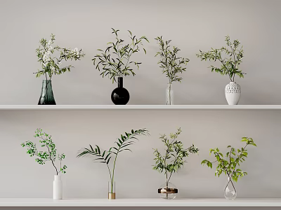 Stylish Floral Display Featuring Various Greenery and Plants in Decorative Vases on Shelves 3d model
