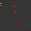 Unique Orange Plant With Slender Stem And Blooms On Minimal Gray Background