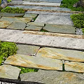 Lush Plant Combinations Surrounding Irregular Stone Slabs with Green Shrubs and Pebbles