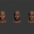 Multiple Male Head Models With Bald Heads And Diverse Facial Features