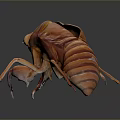 Cicada shelling cicada shelling cicada shell cicada shell cicada shell article 3d model
