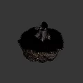 Tree Stump With Black Stone And White Bowl On Green Grass With Soil
