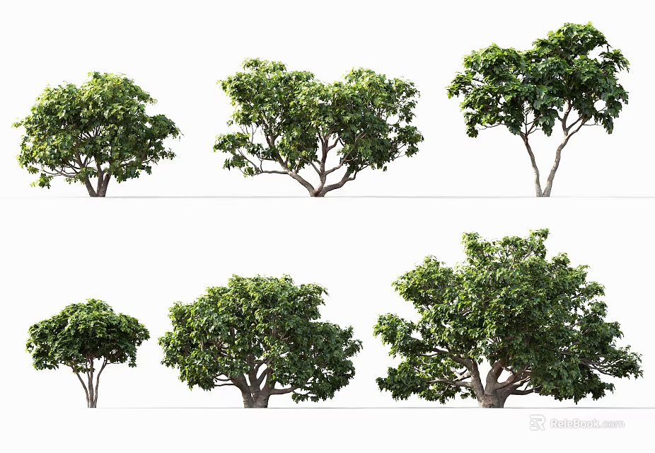 Various Types Of Arbor Trees With Lush Green Foliage And Diverse Shapes 3d model 