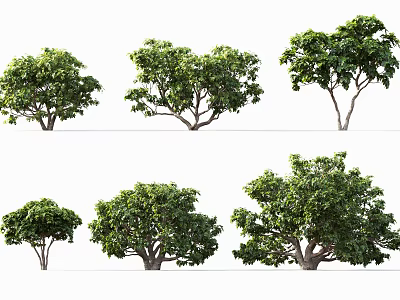 Modern Tree Landscape Trees Fig Tree 3d model