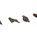 Natural Tree Trunk Sections with Weathered Bark and Wood Texture 3d model