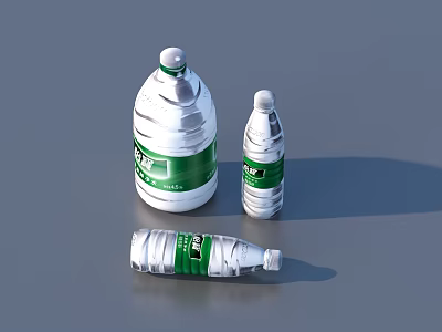 Everyday Life Essentials With Large Small And Fallen Plastic Water Bottles 3d model