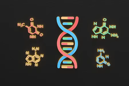 Chemical Formula DNA Cell 1 3d model