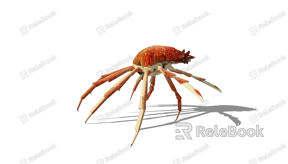 Modern Lobster Animals model