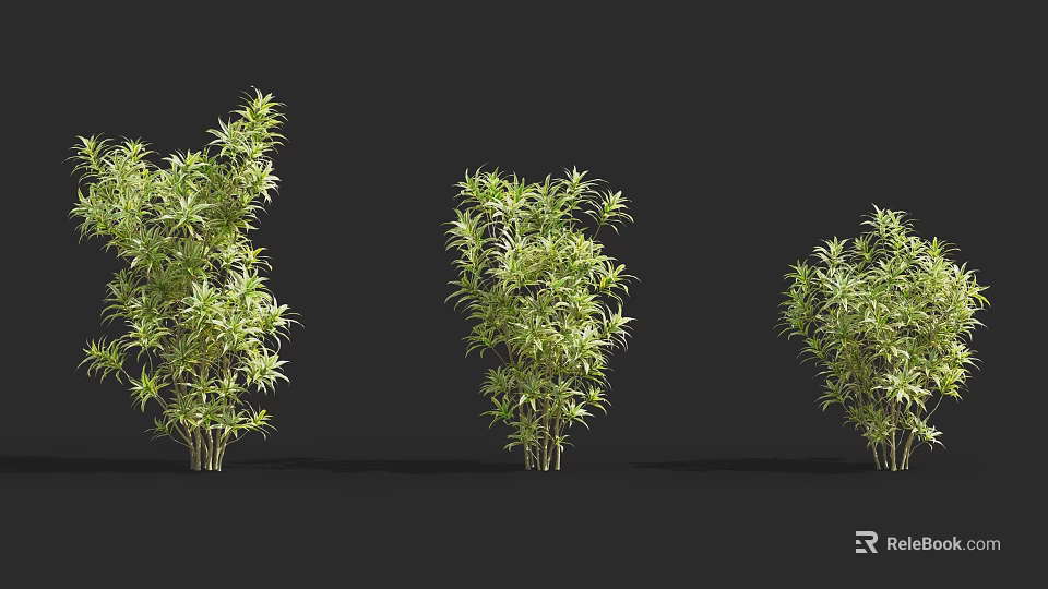 Three Arbor Trees With Lush Green Foliage Against Dark Background 3d model