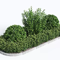 Well Trimmed Green Shrubs In Various Shapes With Stone Border For Garden Landscape