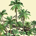 Diverse Tropical Plant Collection Featuring Palm Trees Large Leafy Greenery And Various Ferns