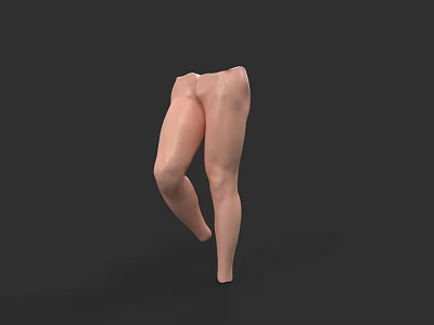 Realistic 3D Human Legs Model With Anatomical Structure And Standing Pose On Black Background 3d model
