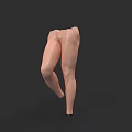 Realistic 3D Human Legs Model With Anatomical Structure And Standing Pose On Black Background 3d model
