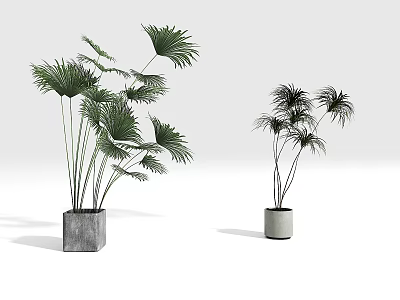 Large And Small Leaf Potted Plants With Square And Cylindrical Gray Pots On White Background 3d model