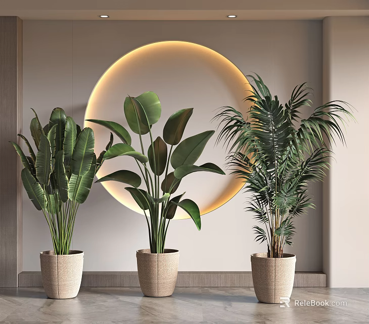 Large Leafy Potted Plants in Woven Pots with Circular Glowing Light Decor 3d model 