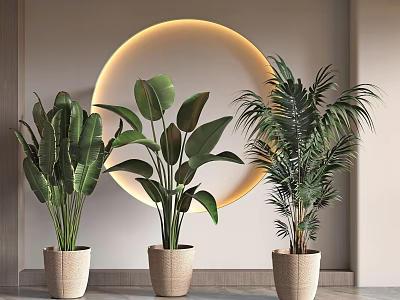 Large Leafy Potted Plants in Woven Pots with Circular Glowing Light Decor 3d model