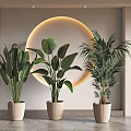 Large Leafy Potted Plants in Woven Pots with Circular Glowing Light Decor