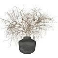 Decorative Ornament Set With Black Pottery Vases And Dried Branches For Home