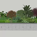Various Types Of Shrubs With Mixed Greenery In Concrete Planter Garden Design