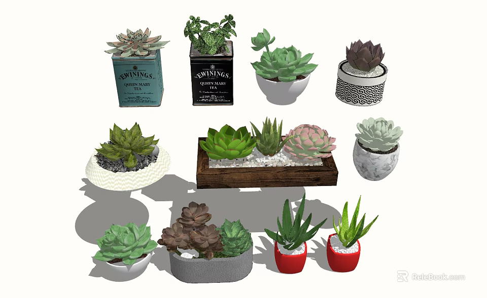 Colorful Succulent Potted Plants In Ceramic And Wooden Pots With Various Designs 3d model 