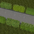 Neatly Trimmed Hedge Along Stone Path With Lush Green Grass Surroundings