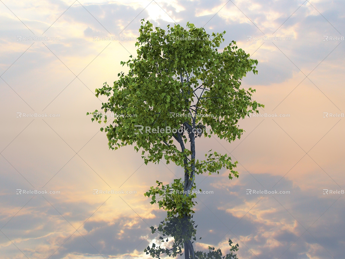 Tilia Street Tree Landscape Tree Tree Landscape Tree Landscape Plant Big Tree Plant Green Planting Forest Forest Outdoor Plant Urban Greening 3d model