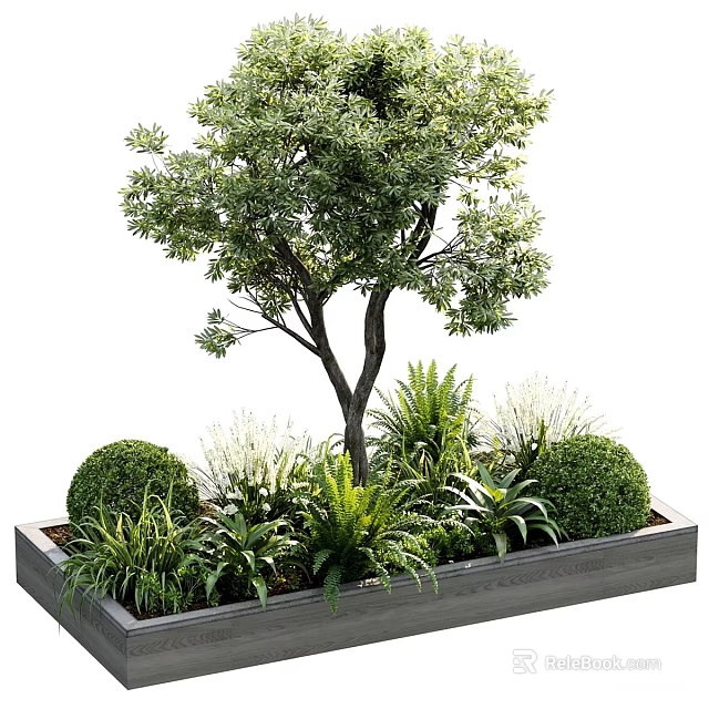 Outdoor Planter Box Garden With Small Tree Round Shrubs And Ferns 3d model 