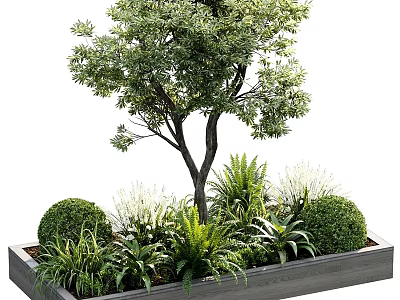 Outdoor Planter Box Garden With Small Tree Round Shrubs And Ferns 3d model