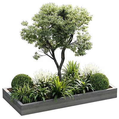 Outdoor Planter Box Garden With Small Tree Round Shrubs And Ferns 3d model