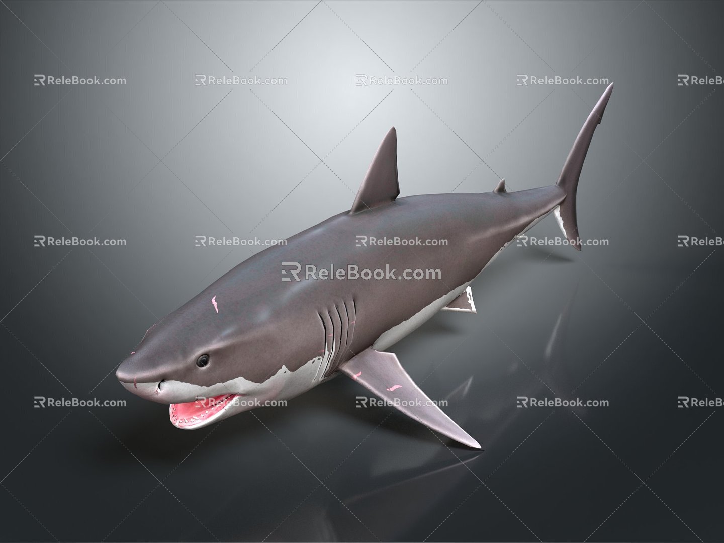 Modern shark great white shark whale cartoon whale mammal 3d model