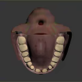 Detailed 3D Rendered Oral Structure Model With Teeth Gums And Tongue