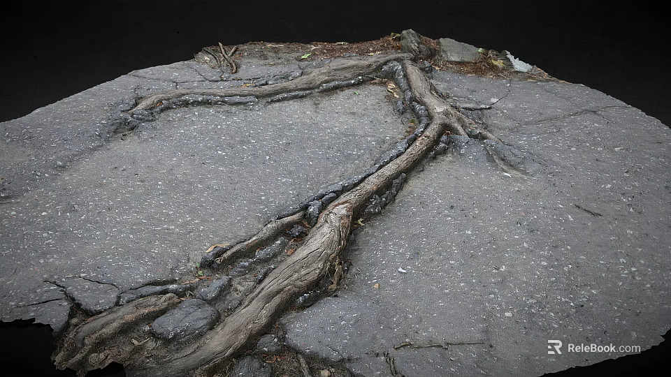 Road Infrastructure With Damaged Surface Caused By Tree Roots And Visible Cracks 3d model 