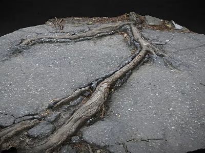 Road Infrastructure With Damaged Surface Caused By Tree Roots And Visible Cracks 3d model