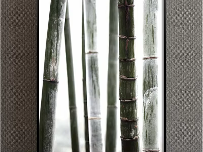 Plant Painting Of Bamboo Stems With Joints Green And White Through Window 3d model