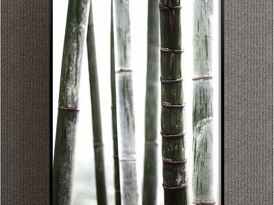 Nordic Plant Painting Green Bedroom Plant Flower Bamboo Decorative Painting model